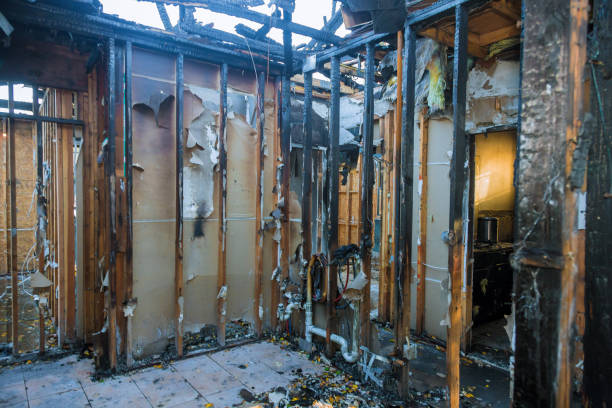 Professional Fire Damage Cleanup technician working in Folcroft, PA
